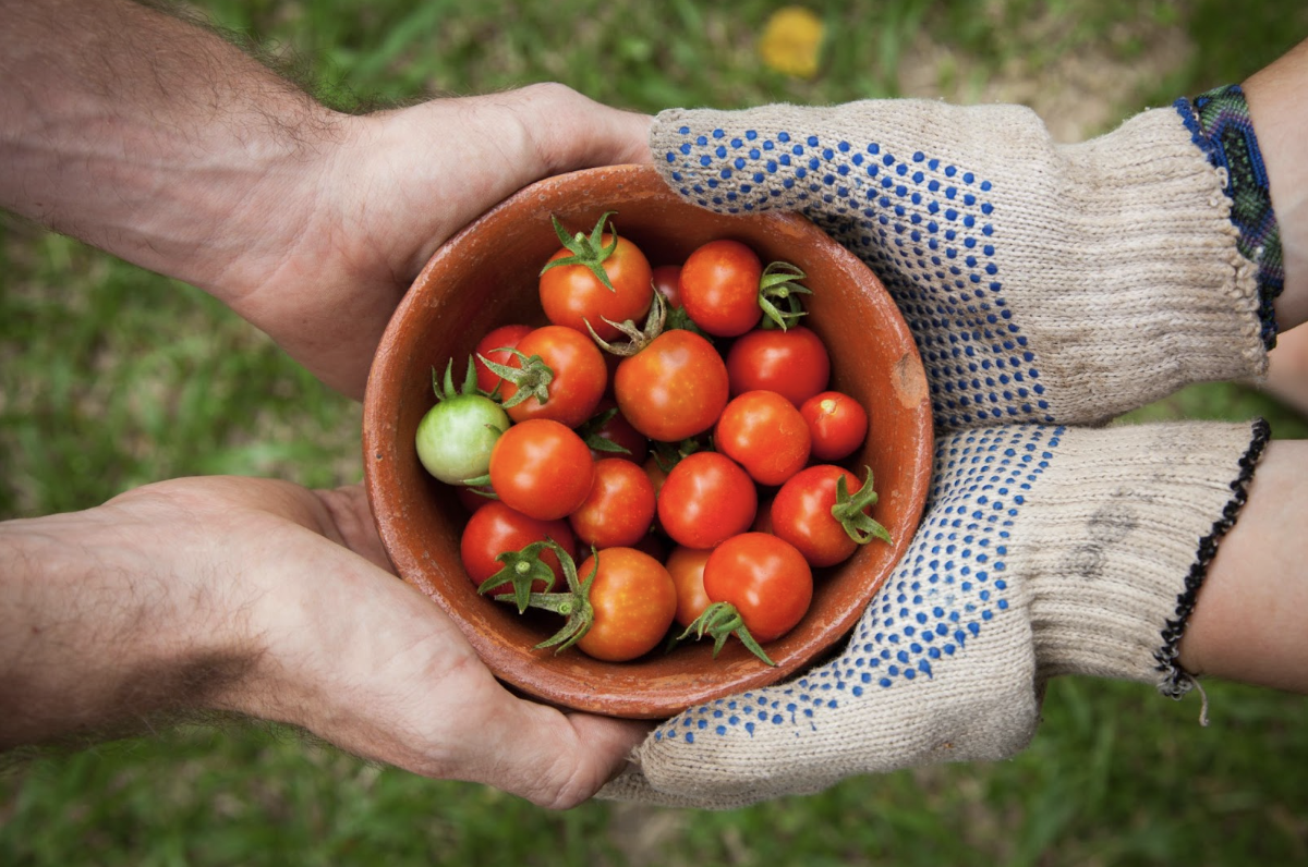 Kirill Yurovskiy: The Benefits Of Farm Foods