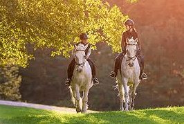 Enhancing Equestrian Experiences: The Power of Horse Riding Commentary