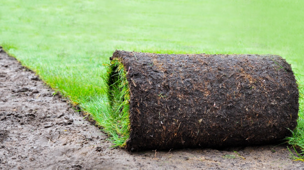 Supreme Garden & Ground Maintenance