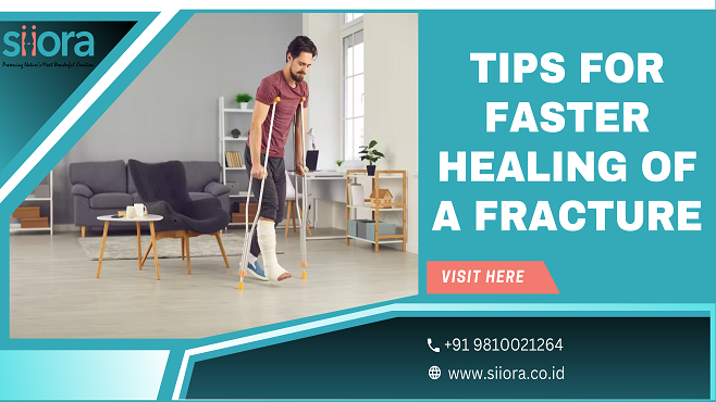 Tips for Faster Healing of a Fracture